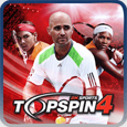 Top Spin 4
